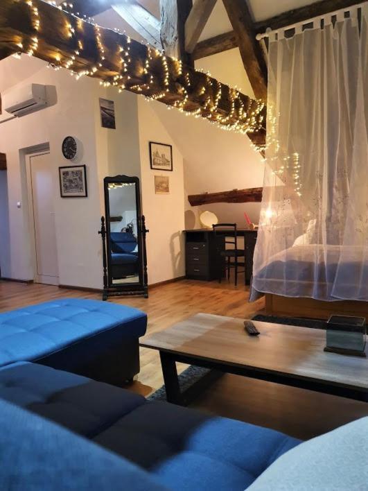 Appartement Vue Splendide Sur Chateau *